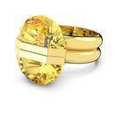 SWAROVSKI 5623776