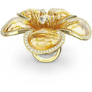 SWAROVSKI 5663074