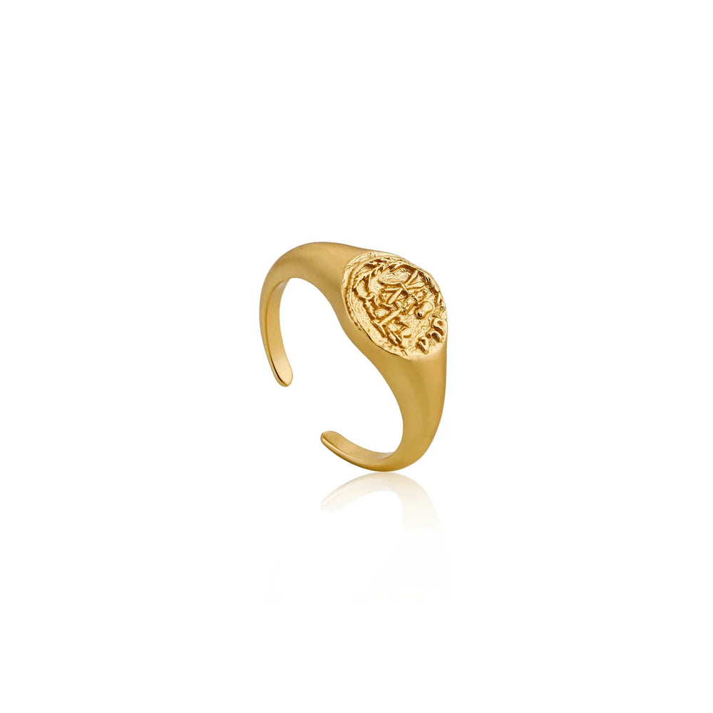 ANIA HAIE R009-03G
