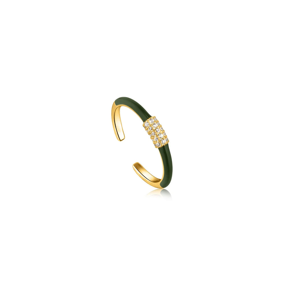 ANIA HAIE R031-01G-G