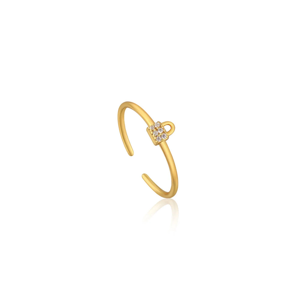 ANIA HAIE R032-02G