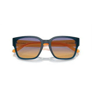 ARNETTE AN4325-29012H