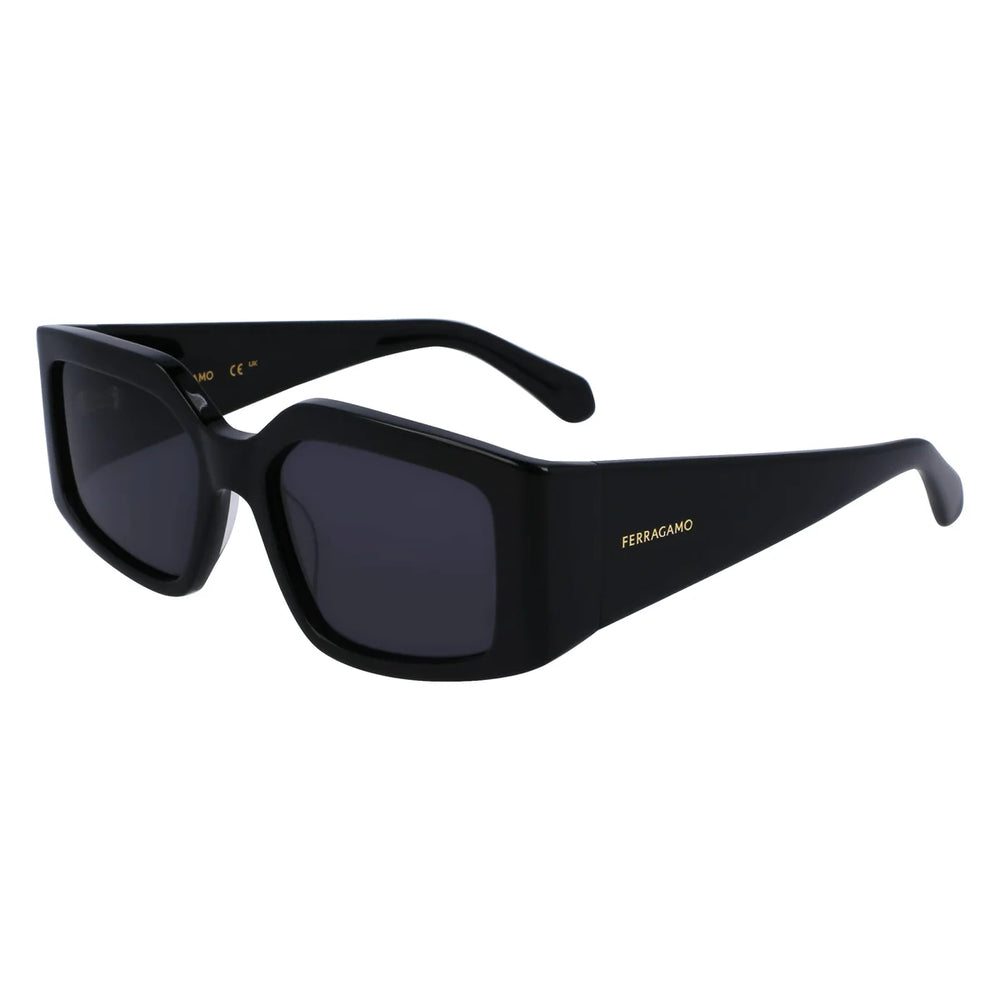FERRAGAMO SF1101S541800