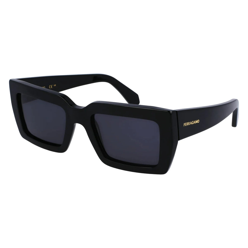 FERRAGAMO SF1108S542100