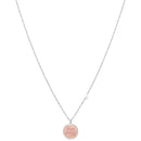 MR WONDERFUL WJ20306
