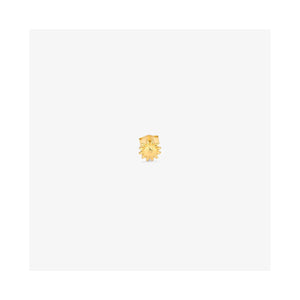 RADIANT RY000155