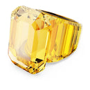 SWAROVSKI 5608548