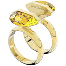 SWAROVSKI 5623776