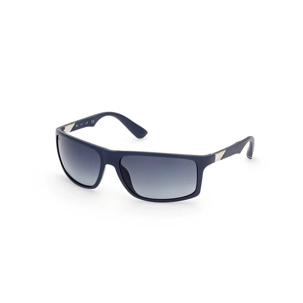 WEB EYEWEAR WE0293-6391V