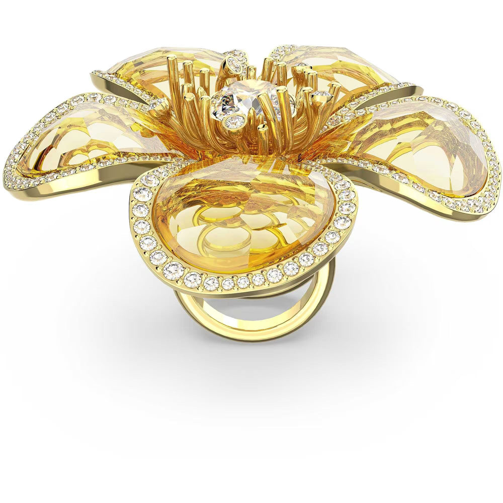 SWAROVSKI 5663074