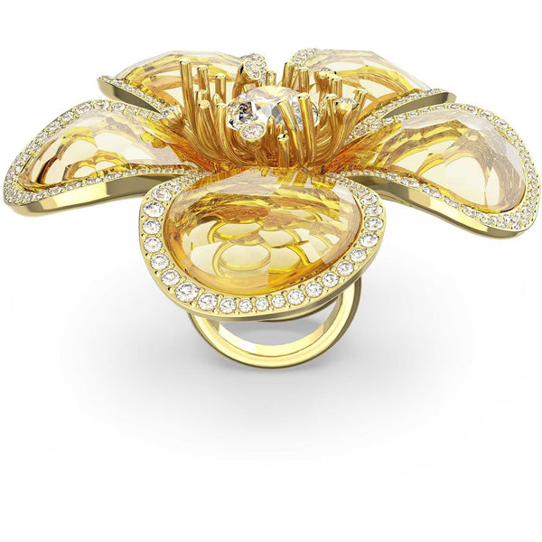SWAROVSKI 5663074
