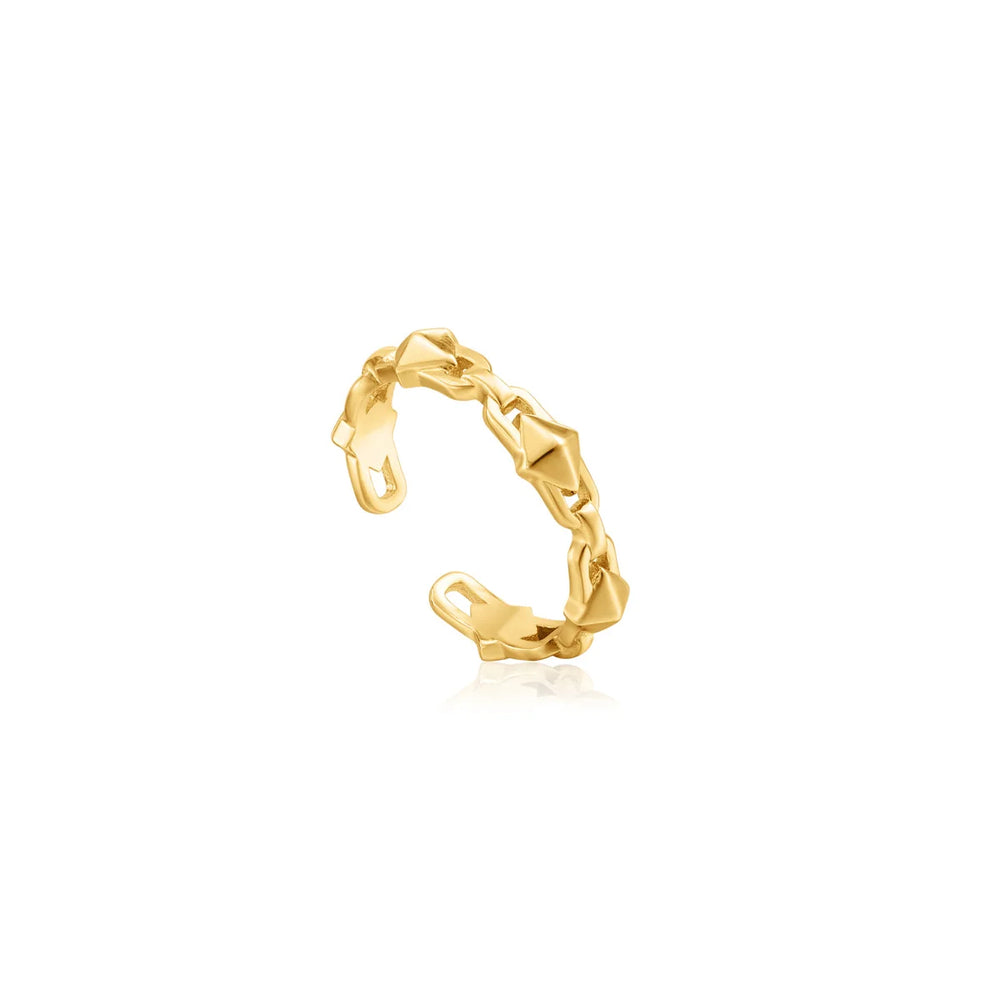 ANIA HAIE R025-02G