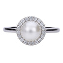 DIAMONFIRE 6117561111175