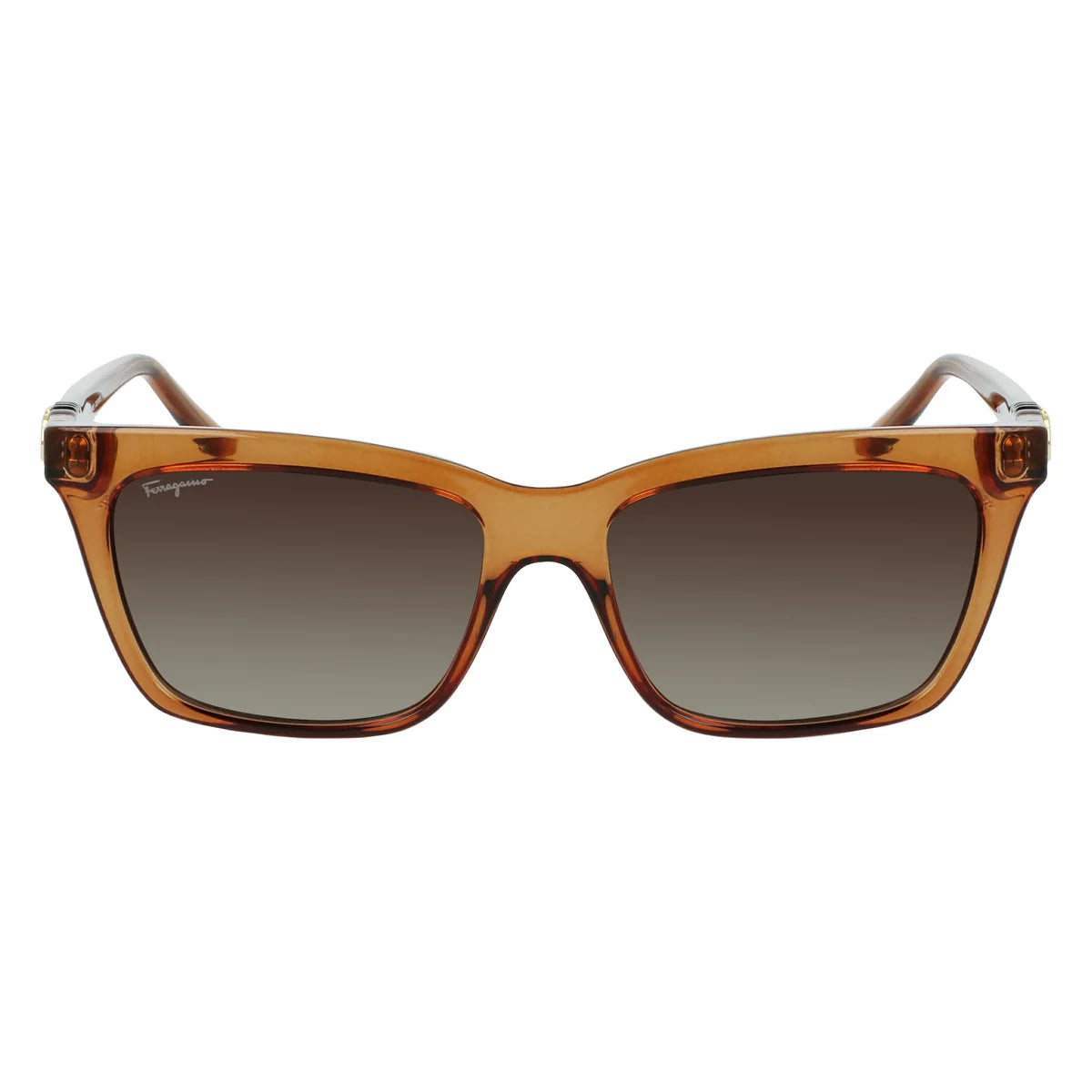 FERRAGAMO SF1027S-210