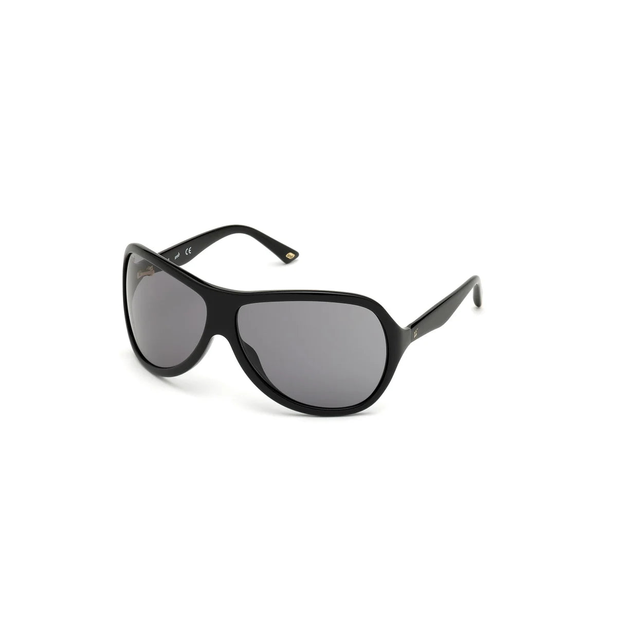 WEB EYEWEAR WE0290-6501A