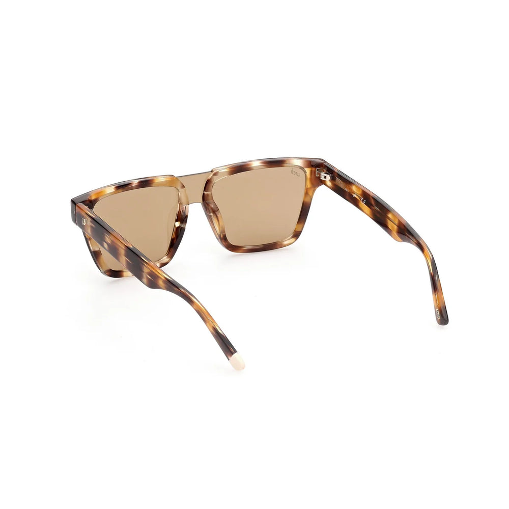 WEB EYEWEAR WE0314-0041F